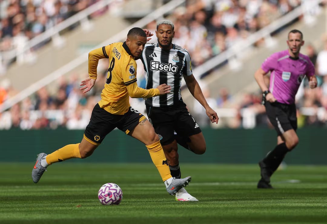 Newcastle United vs Wolverhampton (21:00 &#8211; 13/09) | Xem lại trận đấu